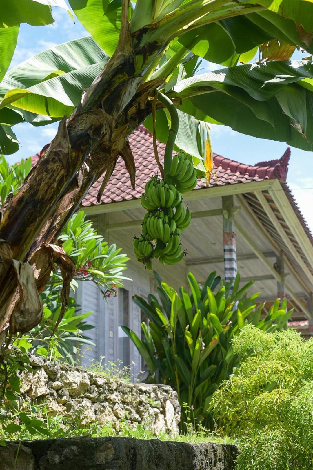 Mesari Hut Lembongan Hotel Eksteriør billede